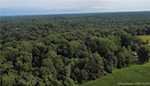 11219 Hiddenview Farm Rd Marysville IN 47141 | MLS 2025010947 Photo 49
