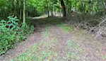 11219 Hiddenview Farm Rd Marysville IN 47141 | MLS 2025010947 Photo 45