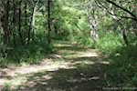 11843 W State Road 56 Lexington IN 47138 | MLS 2025011022 Photo 58