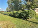 3301 W May Dr Palmyra IN 47164 | MLS 2025011042 Photo 18