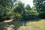 5003 Lorean Ct Floyds Knobs IN 47119 | MLS 2025010986 Photo 79