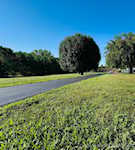 2207 W Robin Rd Scottsburg IN 47170 | MLS 2025010629 Photo 58