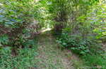 132 S Garrison Hollow Rd Salem IN 47167 | MLS 2025011169 Photo 32