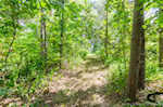 132 S Garrison Hollow Rd Salem IN 47167 | MLS 2025011169 Photo 31