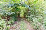 132 S Garrison Hollow Rd Salem IN 47167 | MLS 2025011169 Photo 36