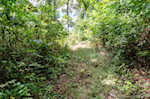 132 S Garrison Hollow Rd Salem IN 47167 | MLS 2025011169 Photo 34